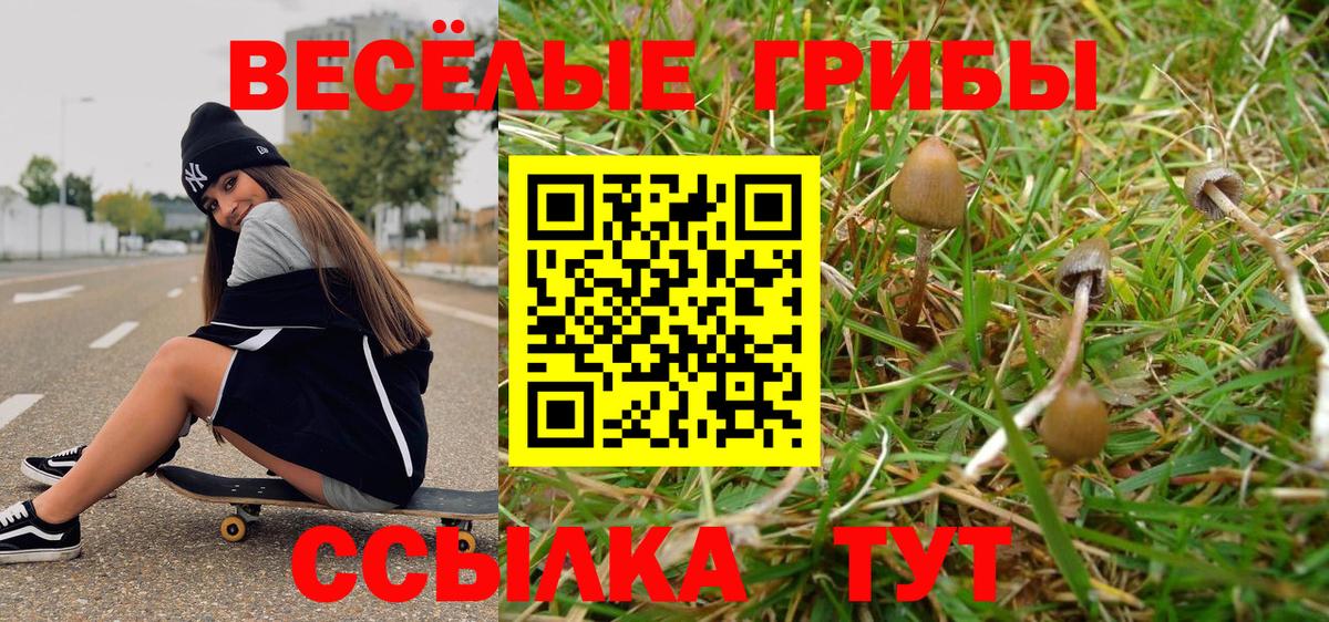 Псилоцибиновые грибы MAGIC MUSHROOMS Углич